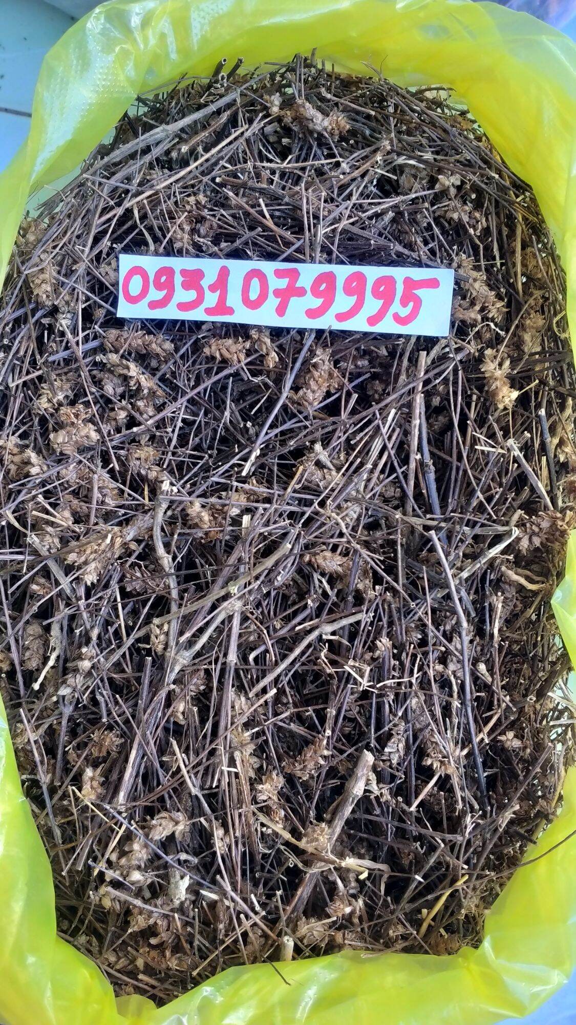 cây nhan trần nam phơi khô 1kg