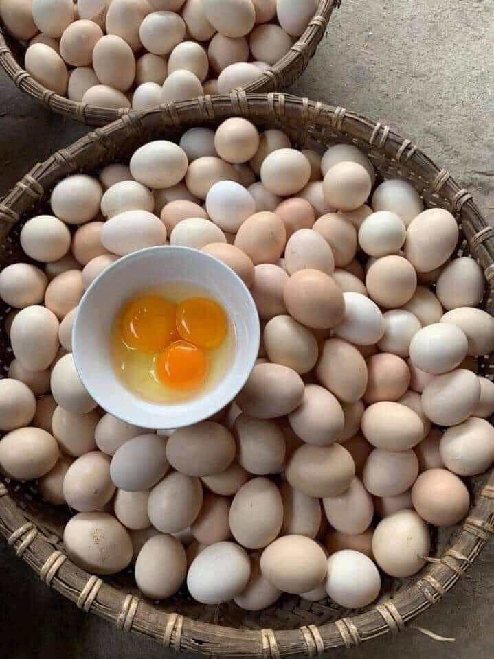 Trứng gà ta nuôi Ngô thóc thơm ngon