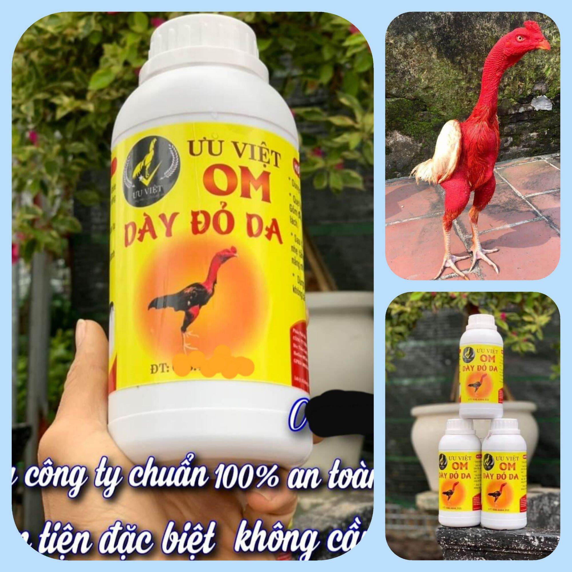 Om dày da cho gà -- pha sẵn dà.y đ.ỏ da săn chắc cơ - không cần xả  ( chai 500 ml )