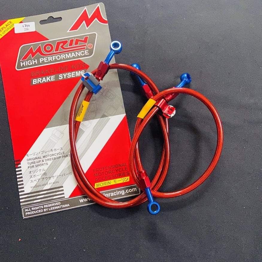 Dây Dầu Morin Thái Trước - Sau