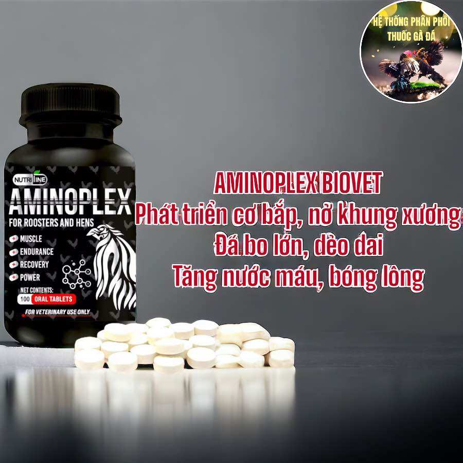 Thuốc gà đá aminoplex biovet tăng bo, nở cơ, tăng lực cho chiến kê
