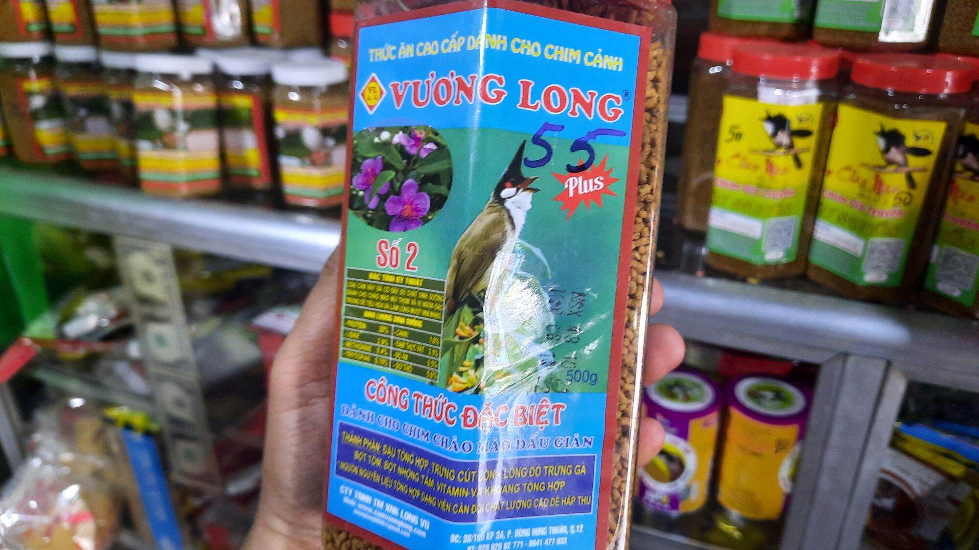 Cám vương long chào mào số 2