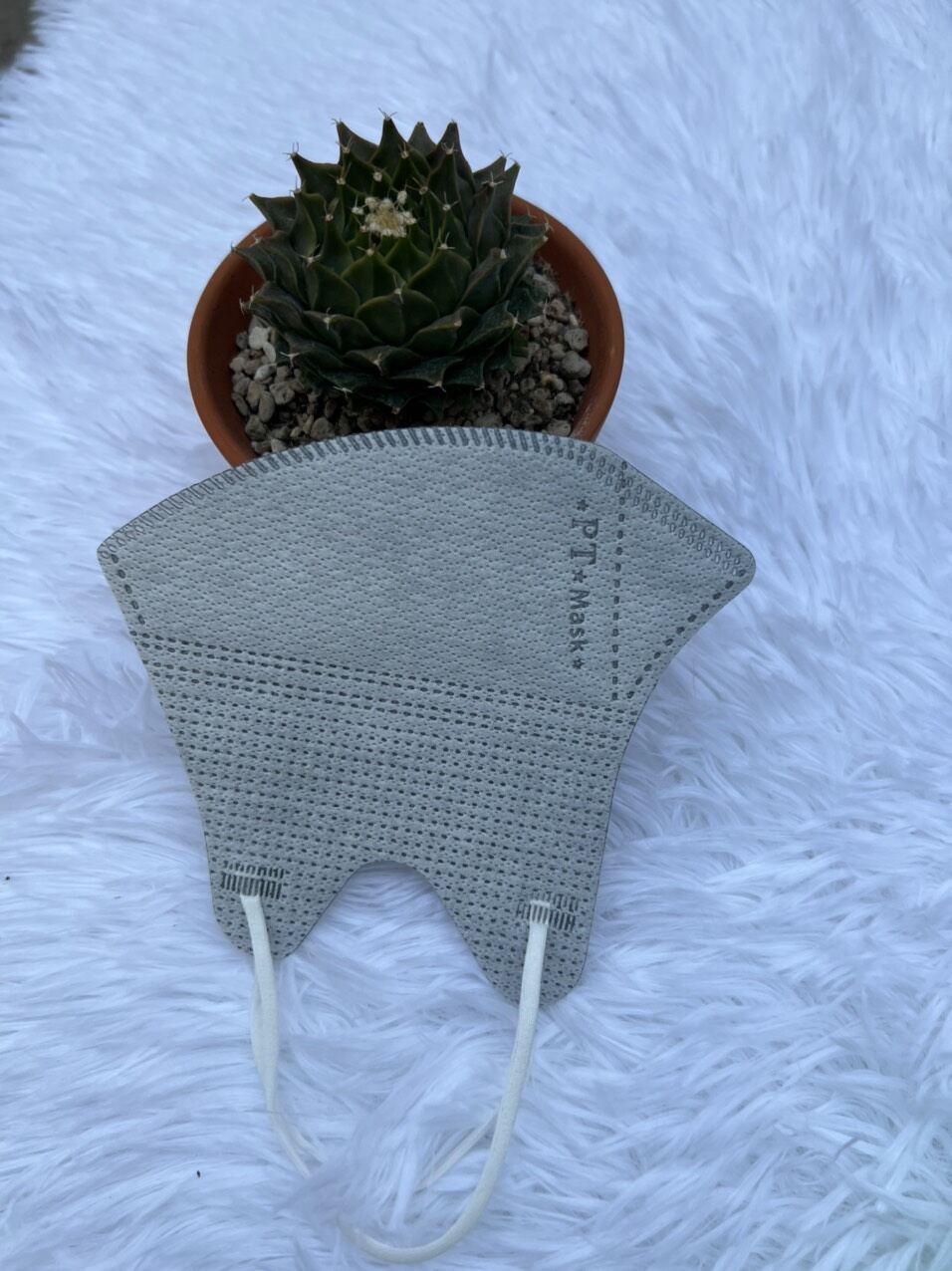 [ Thùng 100 Cái ] Khẩu Trang 5D PT Mask Cao Cấp.