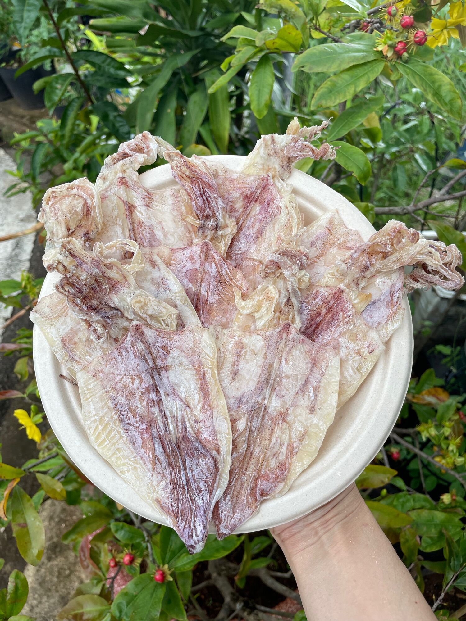 1kg mực khô size 40-45 con/1 kg,khô đảo nam du