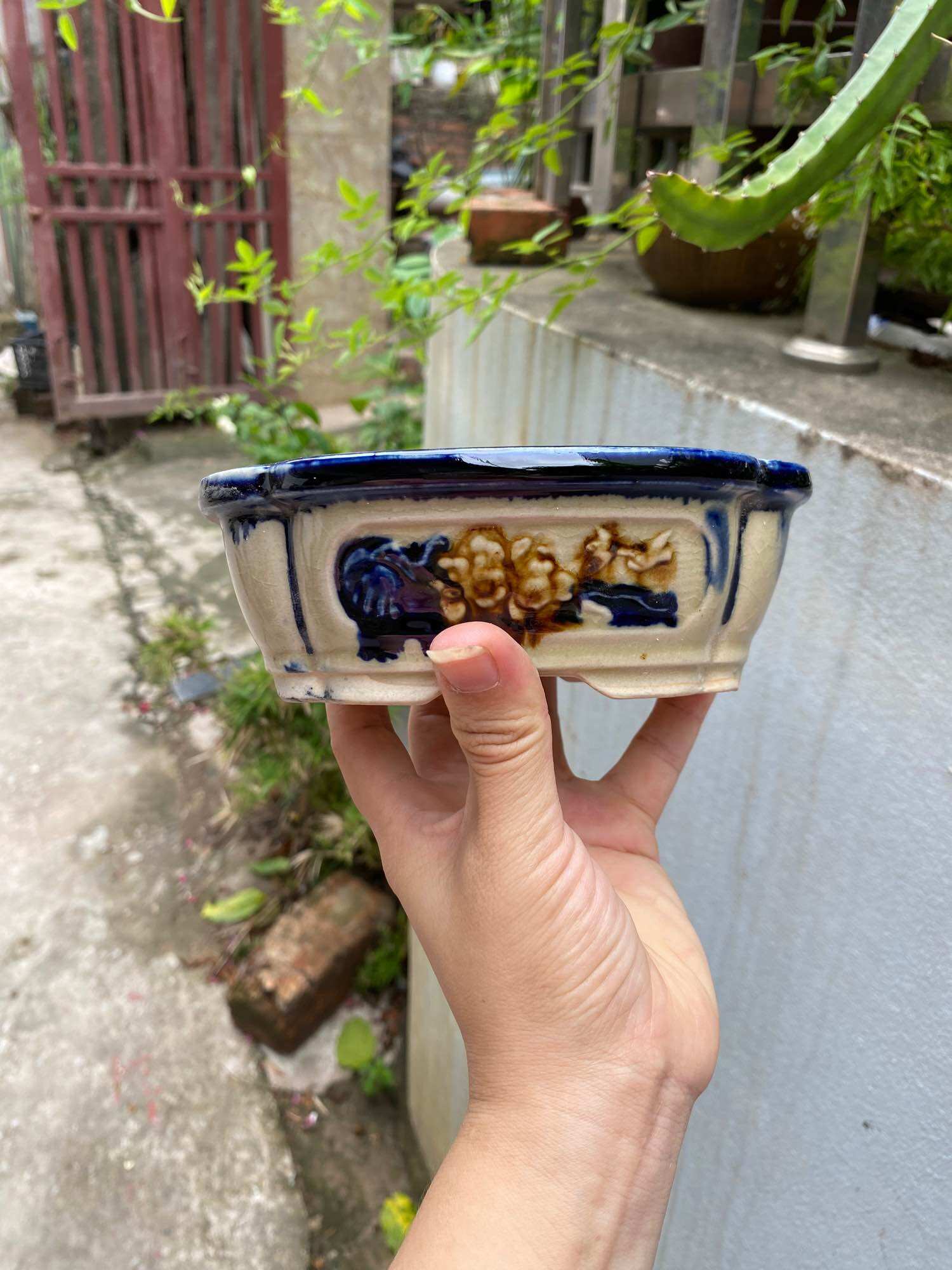 Chậu bonsai mini giả cổ