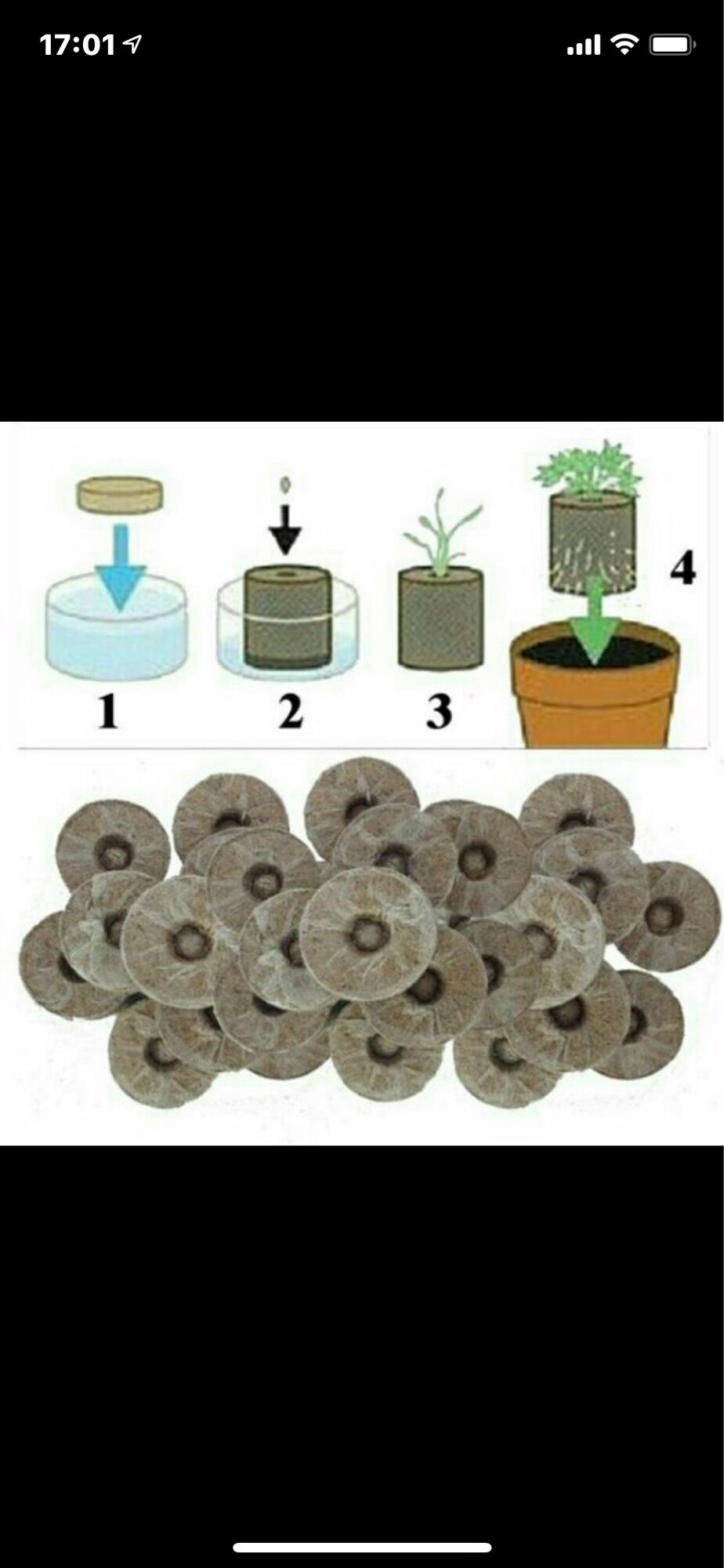 Set 30 viên nén ươm hạt sơ dừa