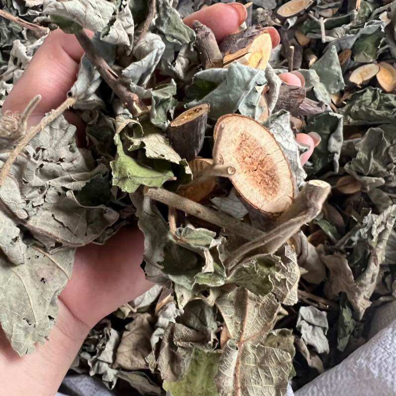1kg lá mâm xôi rừng khô