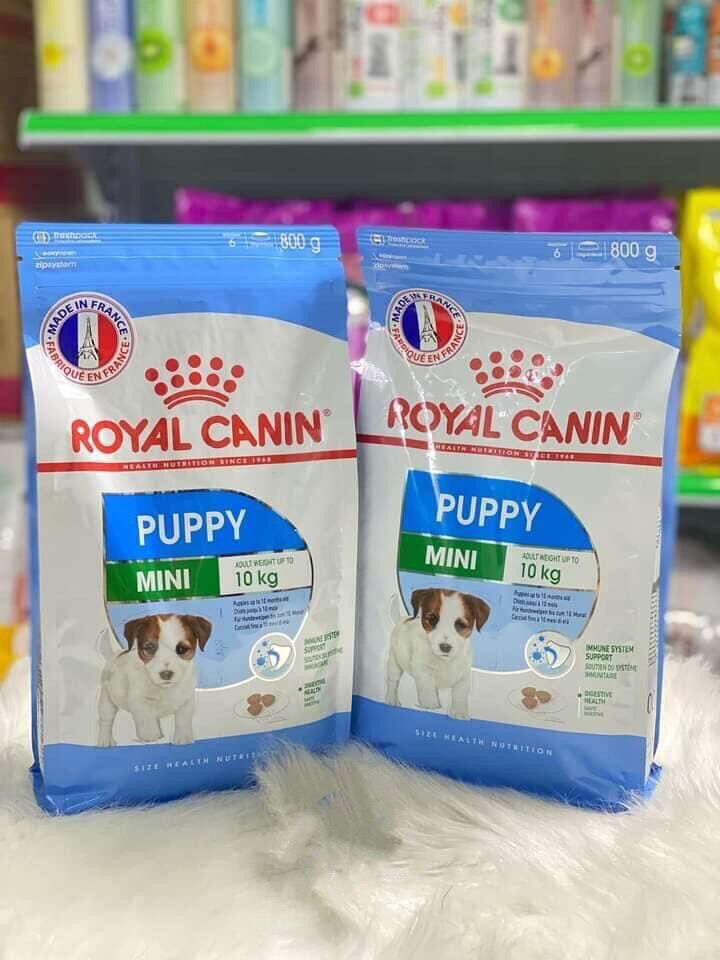 Thức ăn hạt Royal puppy mini cho cún