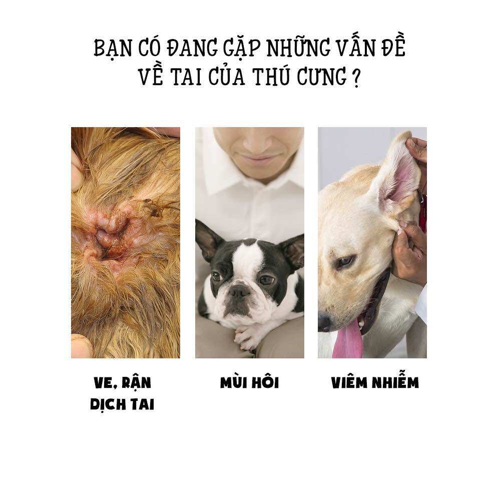 BỘT NHỔ LÔNG TAI CHÓ MÈO PETIS
