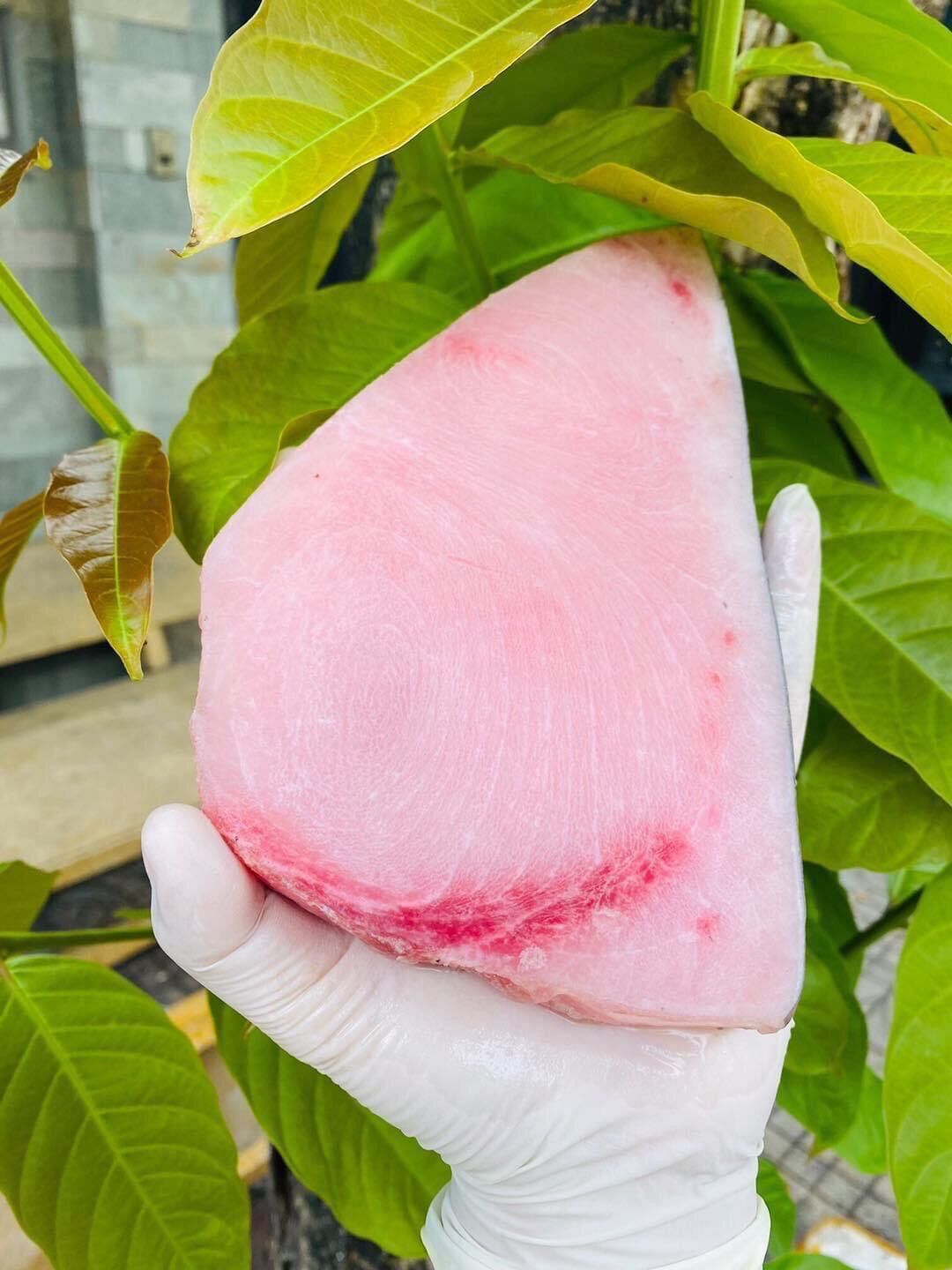 Cá cờ kiếm phile 500g