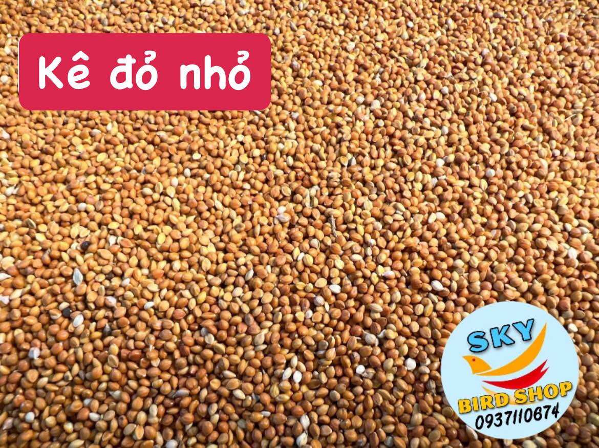 Kê đỏ hạt nhỏ 1kg