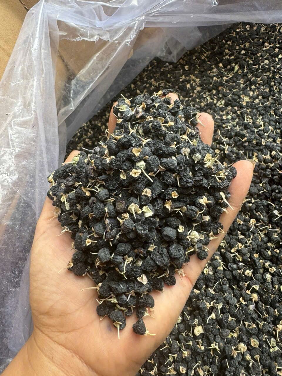 hắc kỷ tử tây tạng