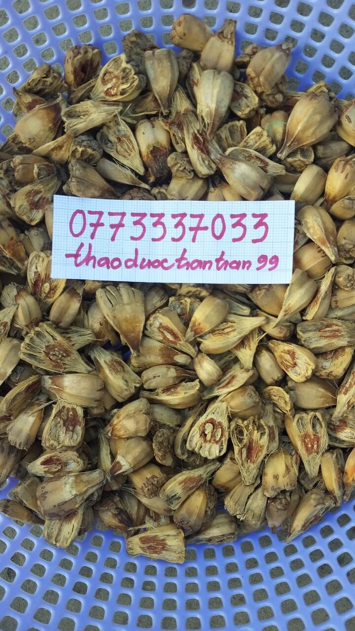 trái dứa gai - dứa dại phơi khô 1kg