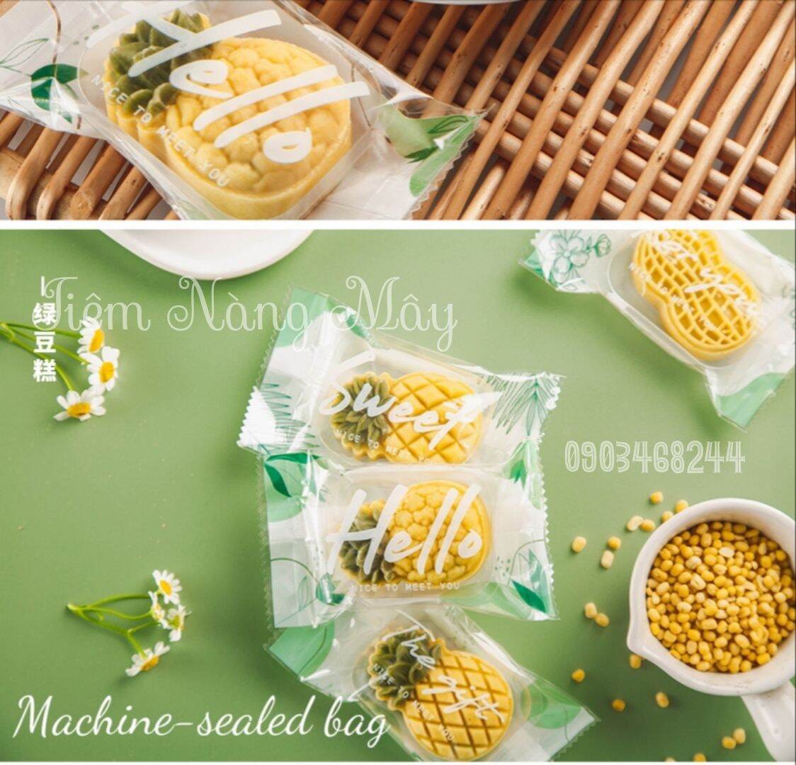 [HCM]Khuôn bánh dứa quả dứa 2 và 4 mặt