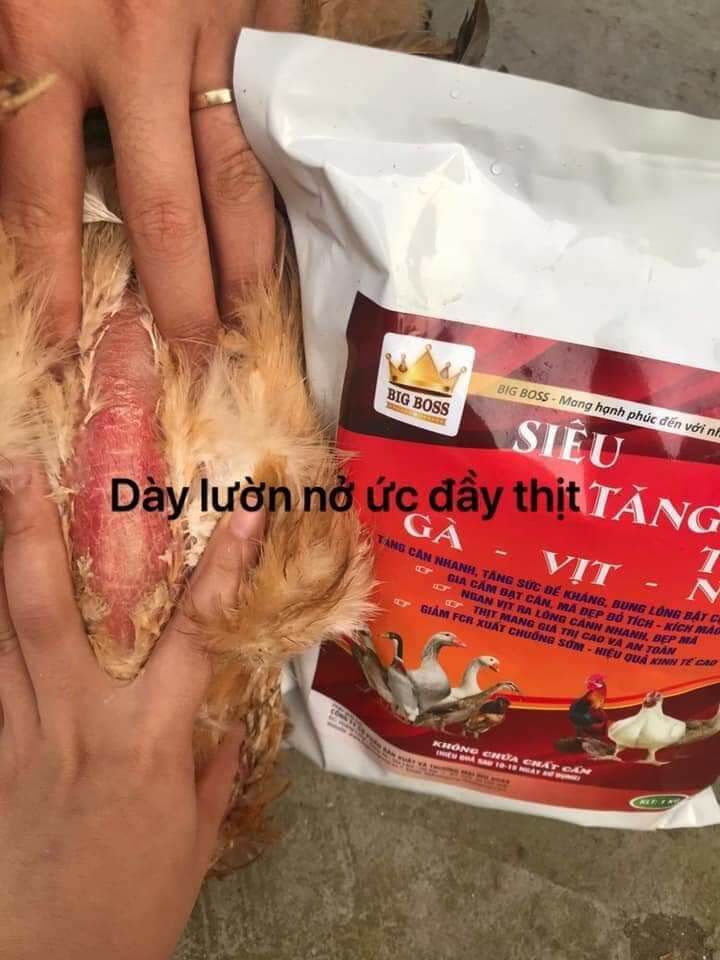 Siêu tăng tốc gà vịt ngan