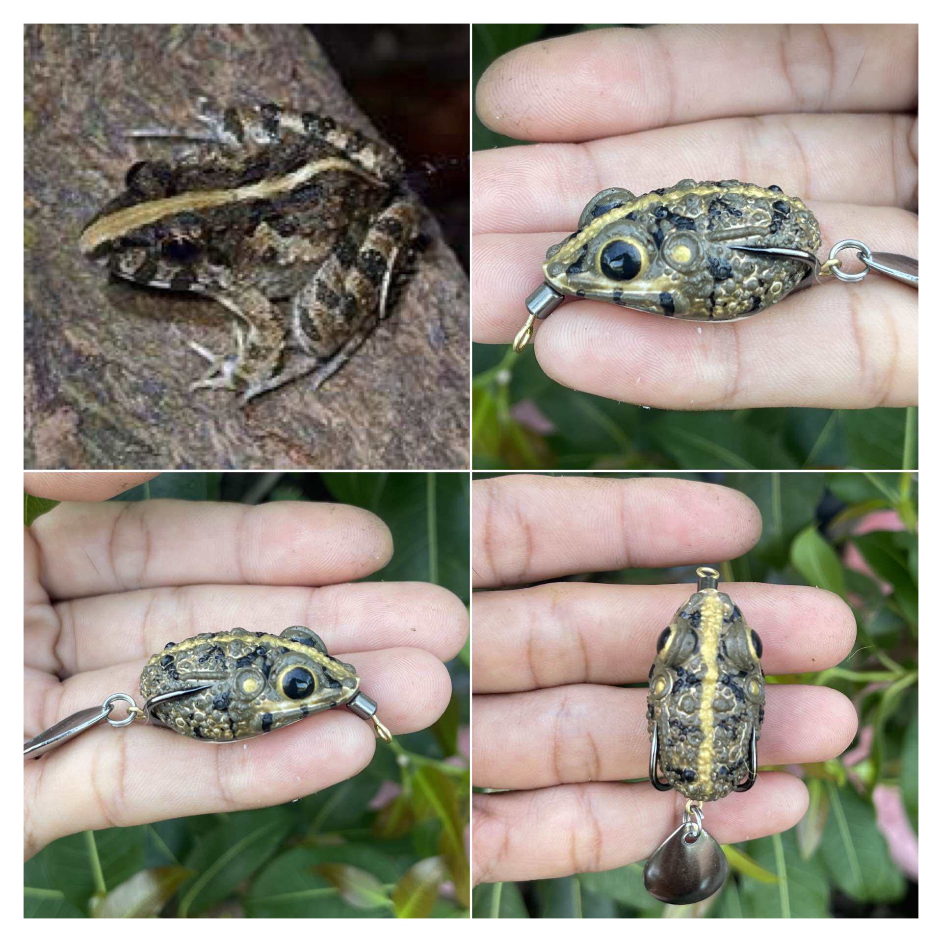 Nhái hơi Emo Thái Lan, siêu mềm, dai, 3.5cm