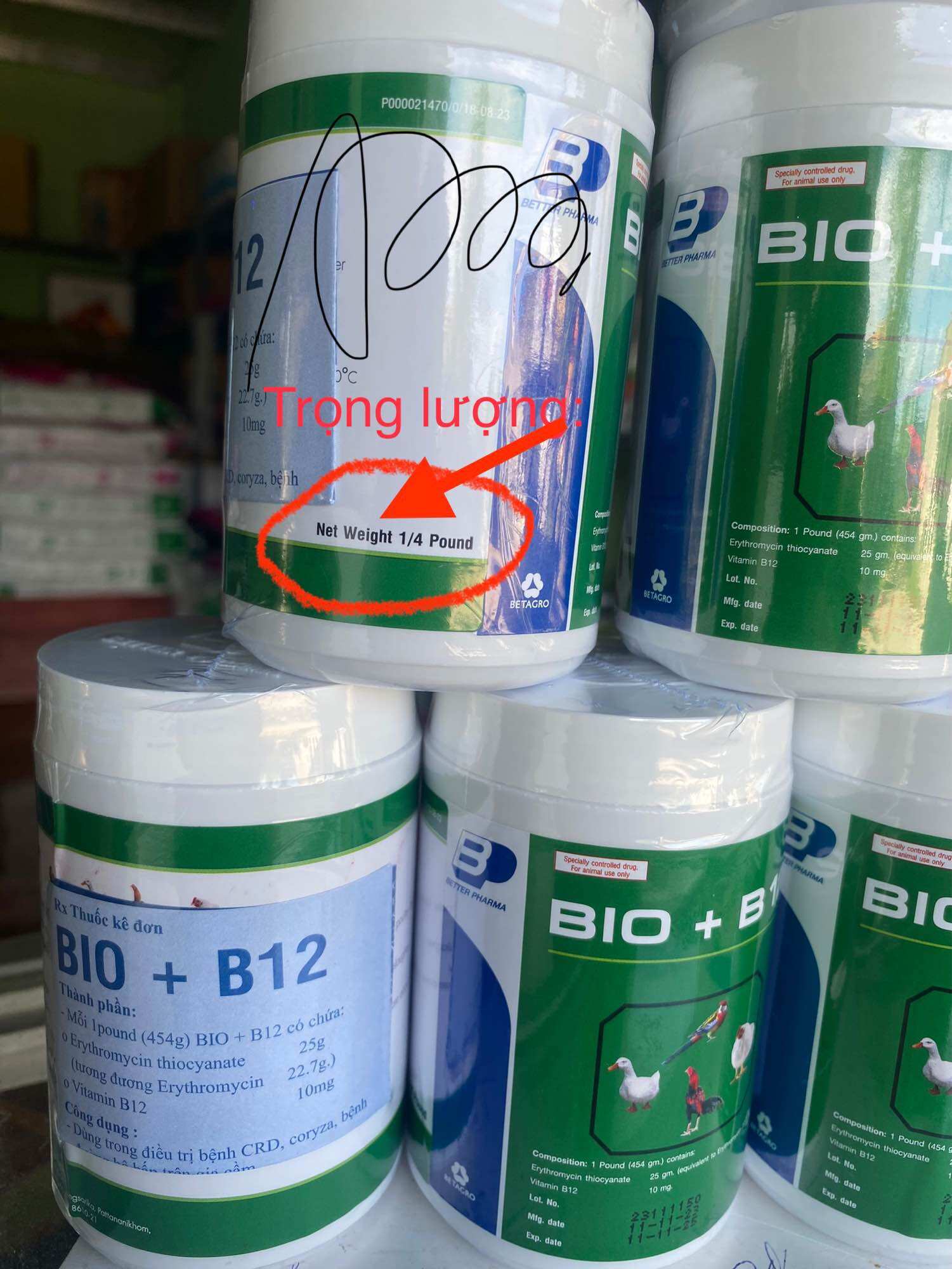 Bio B12 - ÚM GÀ CON, GÀ ĐÁ, CHIM CẢNH