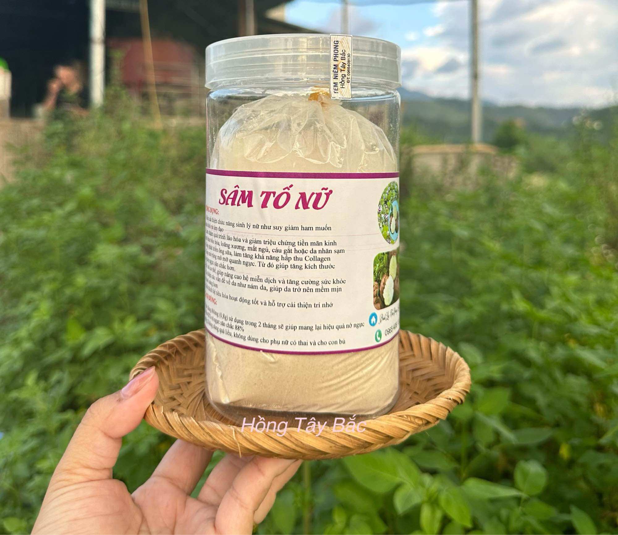 Sâm Tố Nữ Nguyên Chất ( Miếng Khô Và Bột Tiện Dụng )