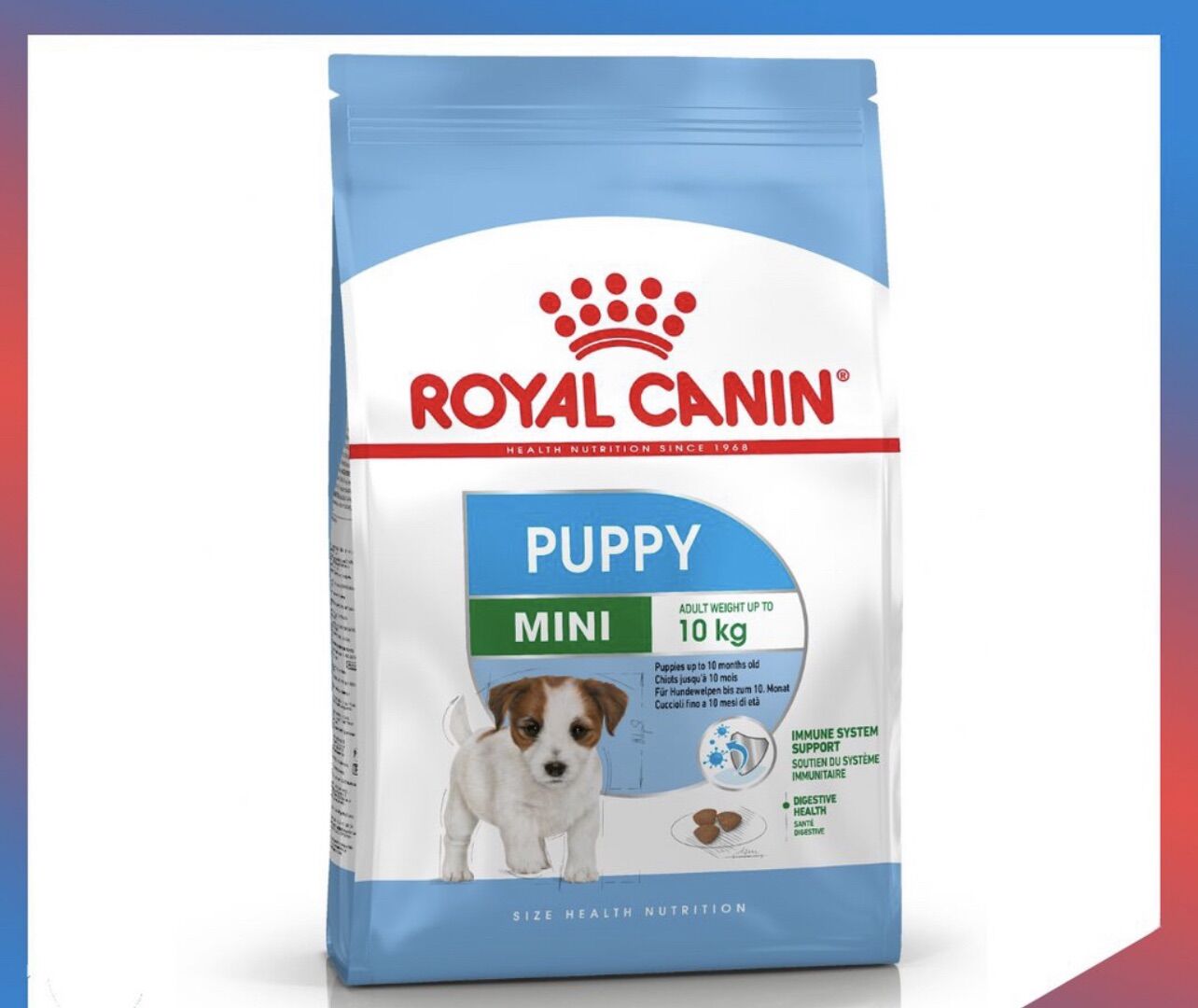 Hạt royal canin mini puppy dành cho chó con cỡ nhỏ