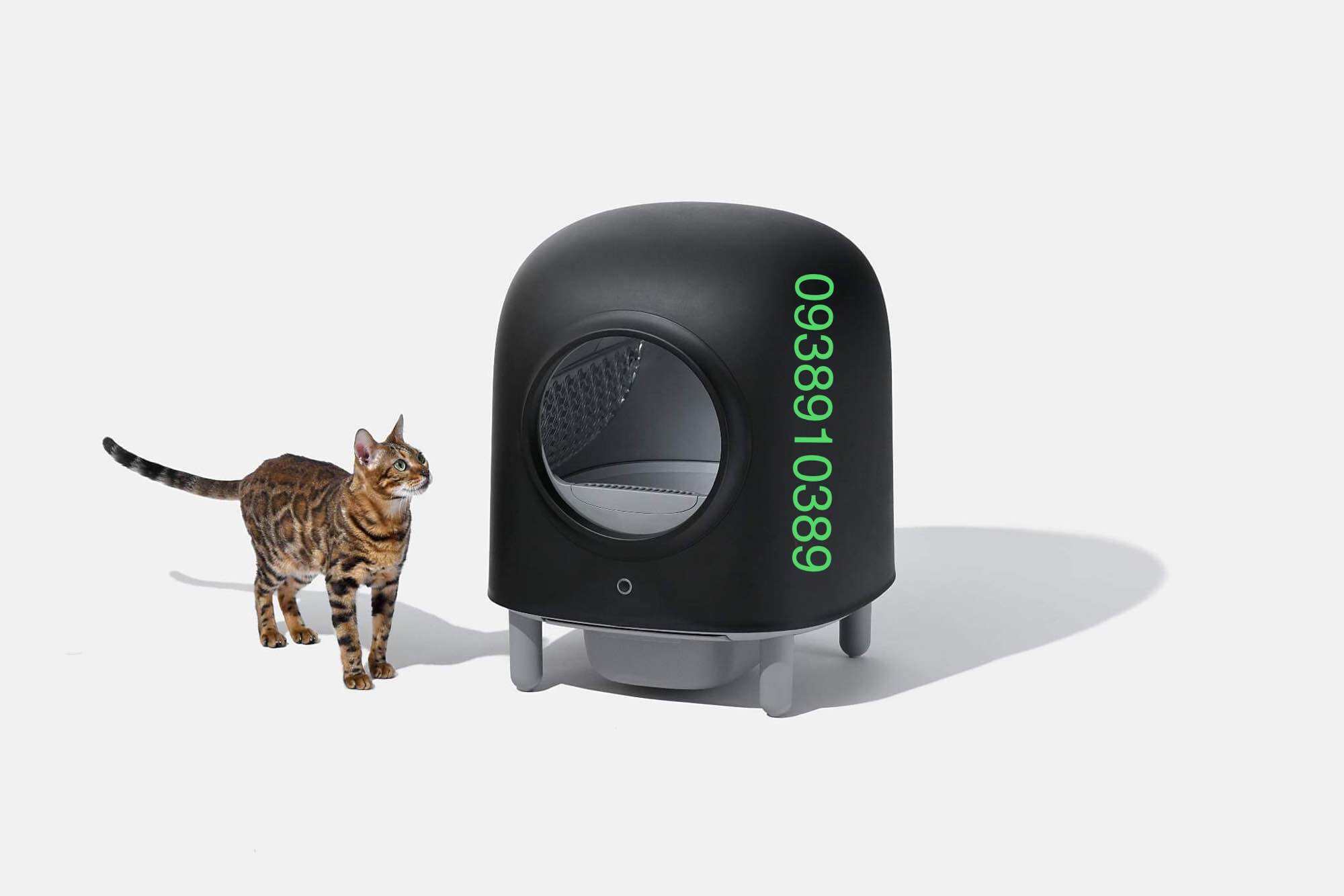 Máy dọn vệ sinh tự động, nhà vệ sinh tự động cho mèo PETREE 2022, Minion