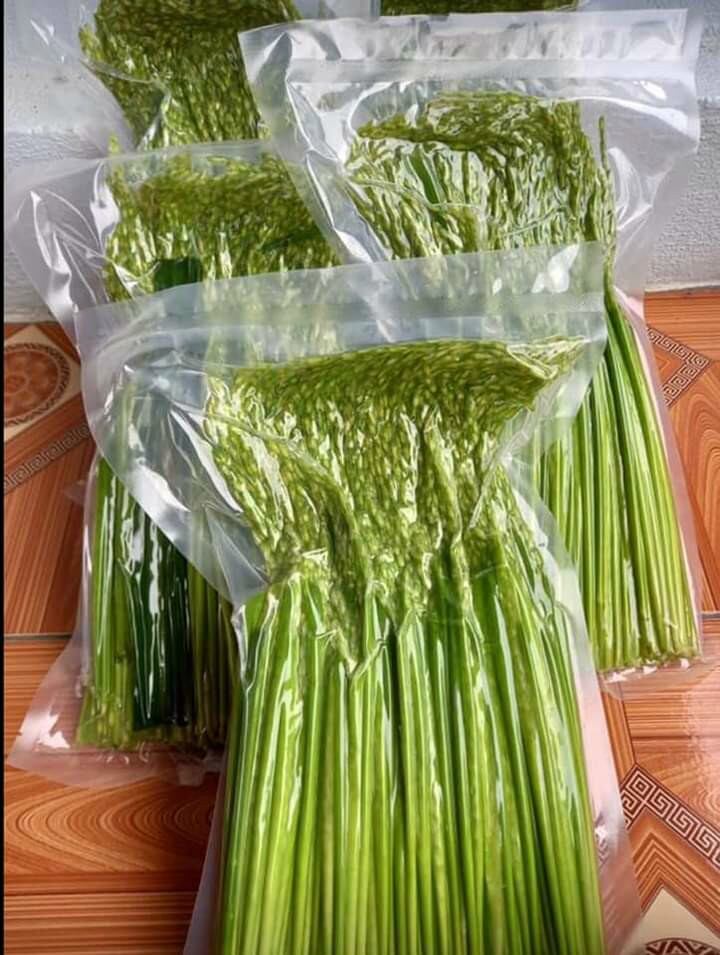 Đòng đòng ngâm ruou