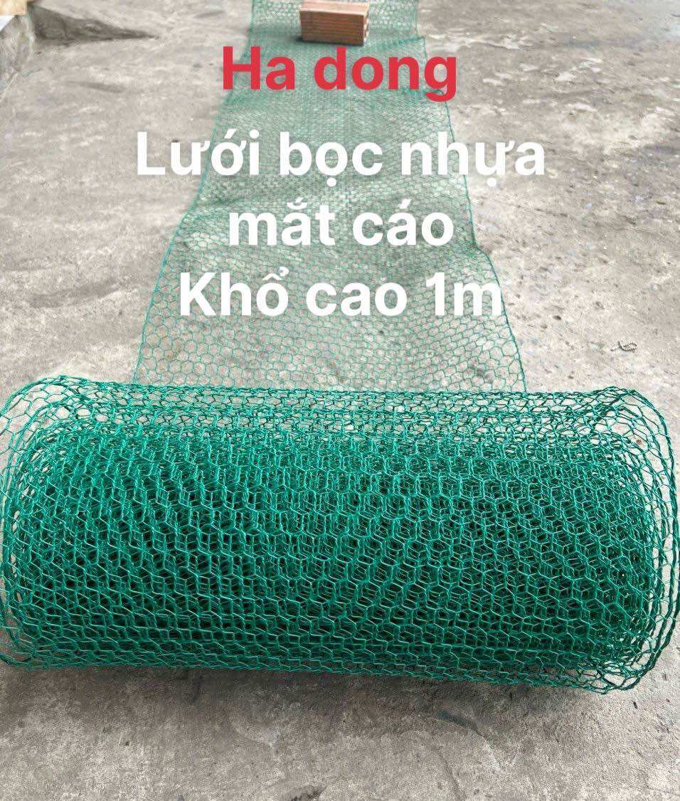 Lưới kẽm bọc nhựa xanh cao cấp -chuồng gà vịt - hàng rào