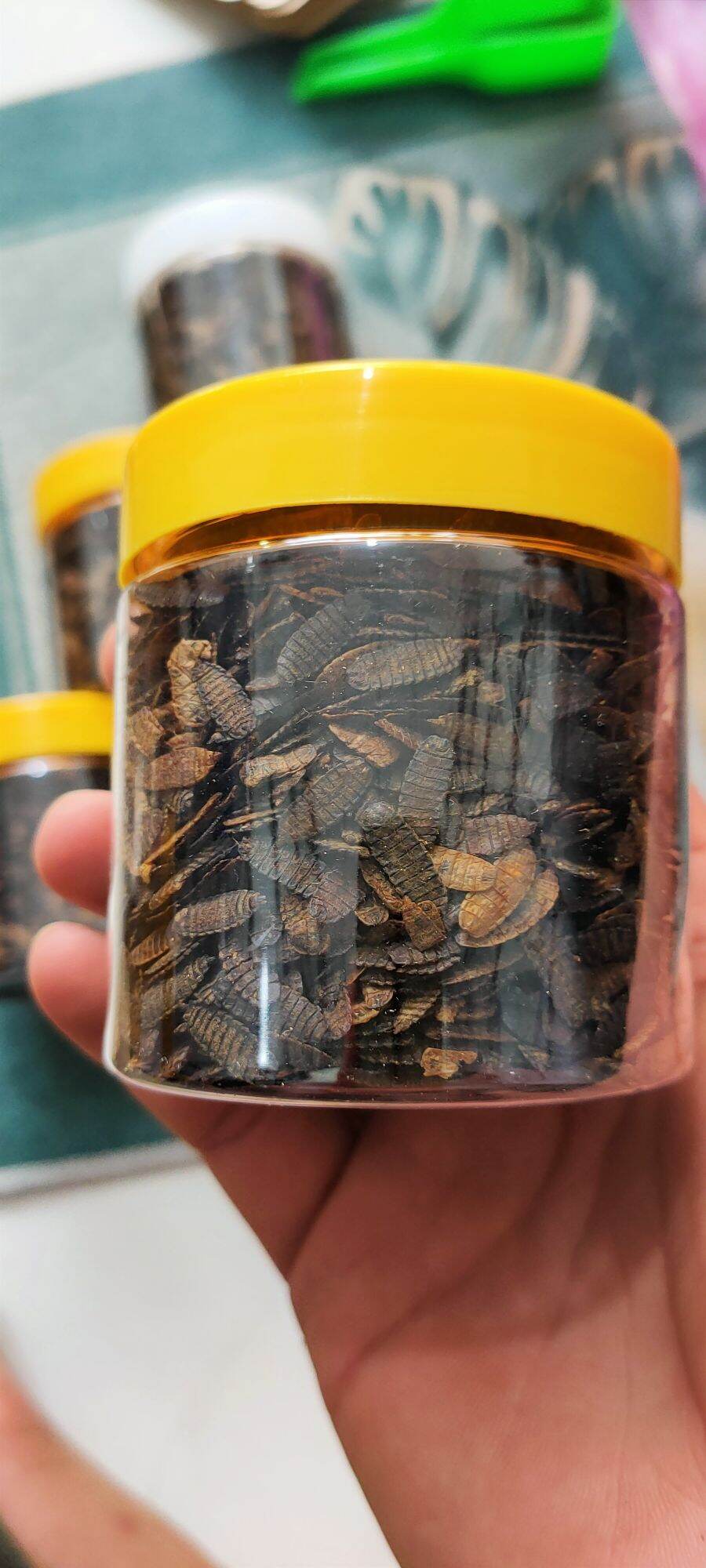 SÂU CANXI SẤY KHÔ (dùng cho bò sát hủ 100g)