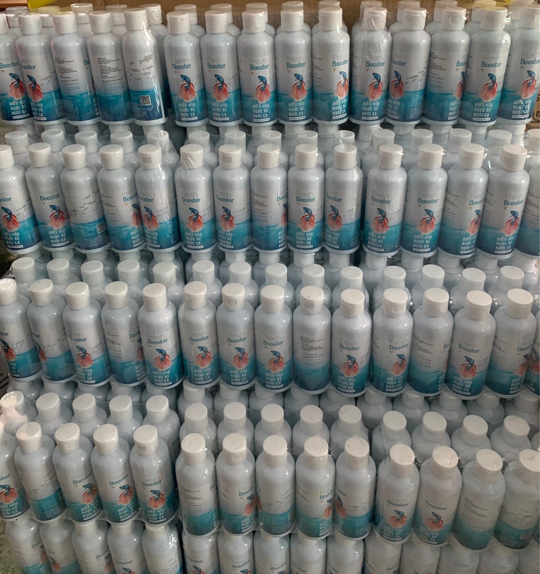 [HCM]Fresh Booster : Xử Lý Nước Cho Hồ Cá