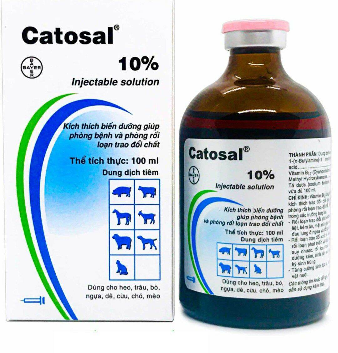 catosal 10 bayer nhập thái