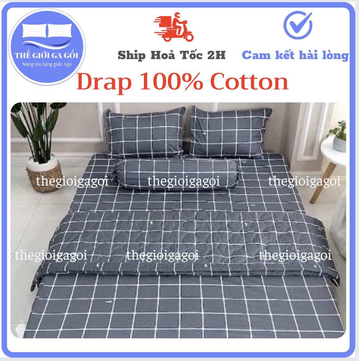 [HCM] Bộ Drap Thắng Lợi Kích Thước 1m4 x 2m {4 món} 100% Cotton chuẩn logo ( 1ga + 2 gối nằm + 1 gối ôm)