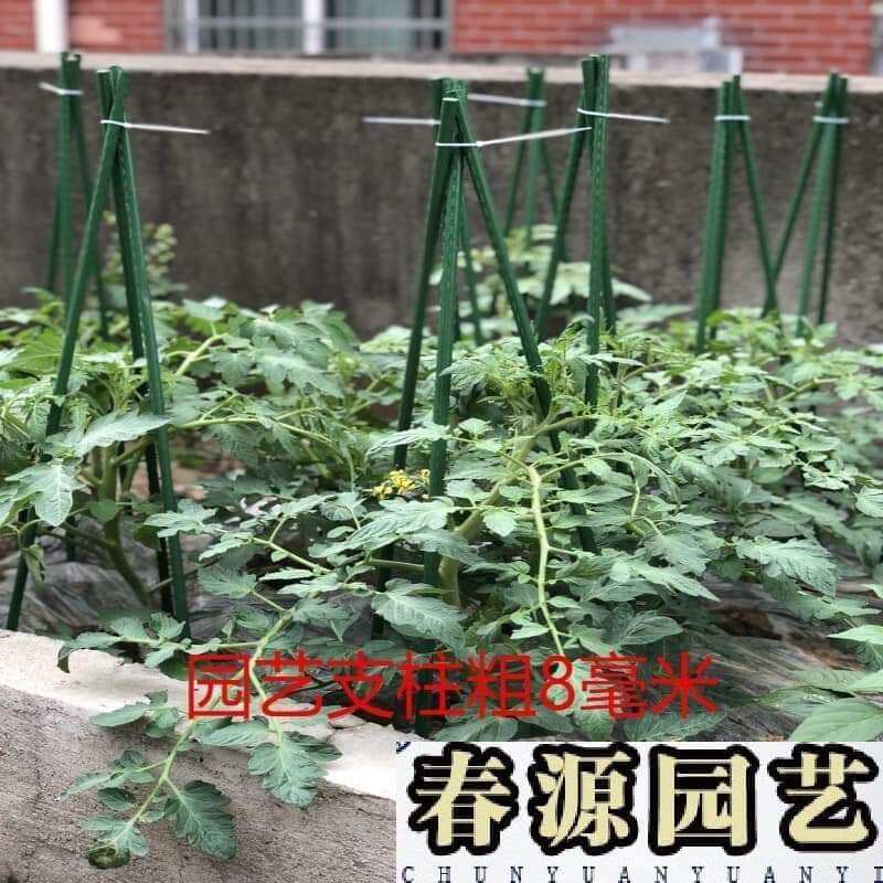 50 cọc chống cây làm giàn 1m8 fi11