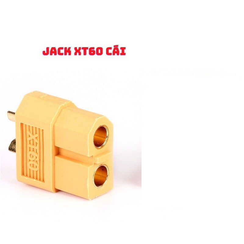 1 cặp jack XT60 Amass đồng nguyên chất (đực + cái )