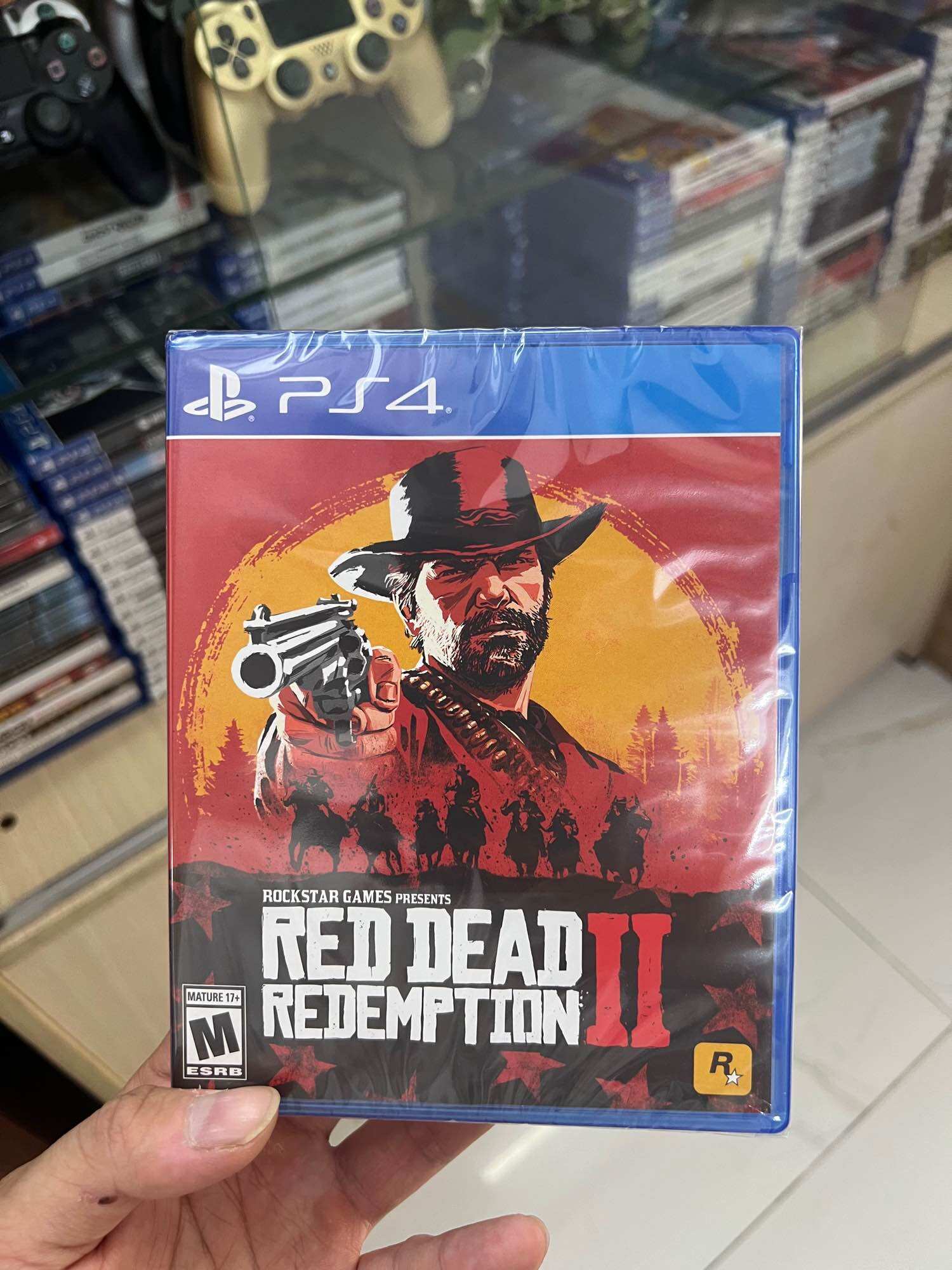 Ps4 Game Disc: Red Dead Redemption 2
