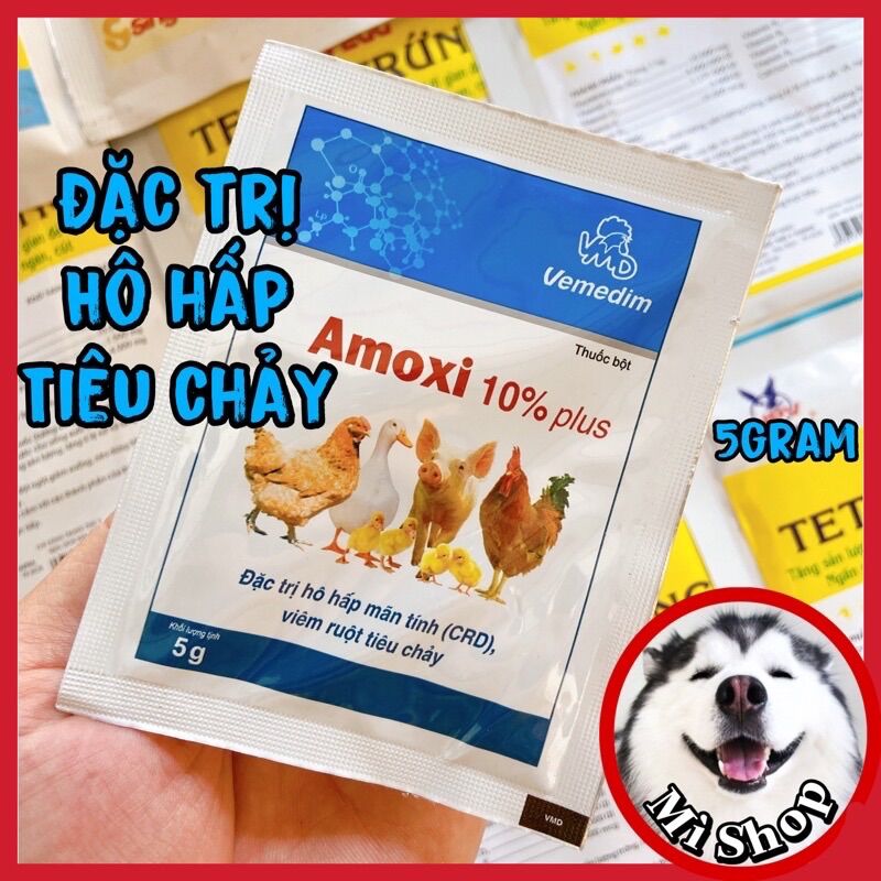 Amox 10% plus phòng hen khẹt, viêm ruột gà đá