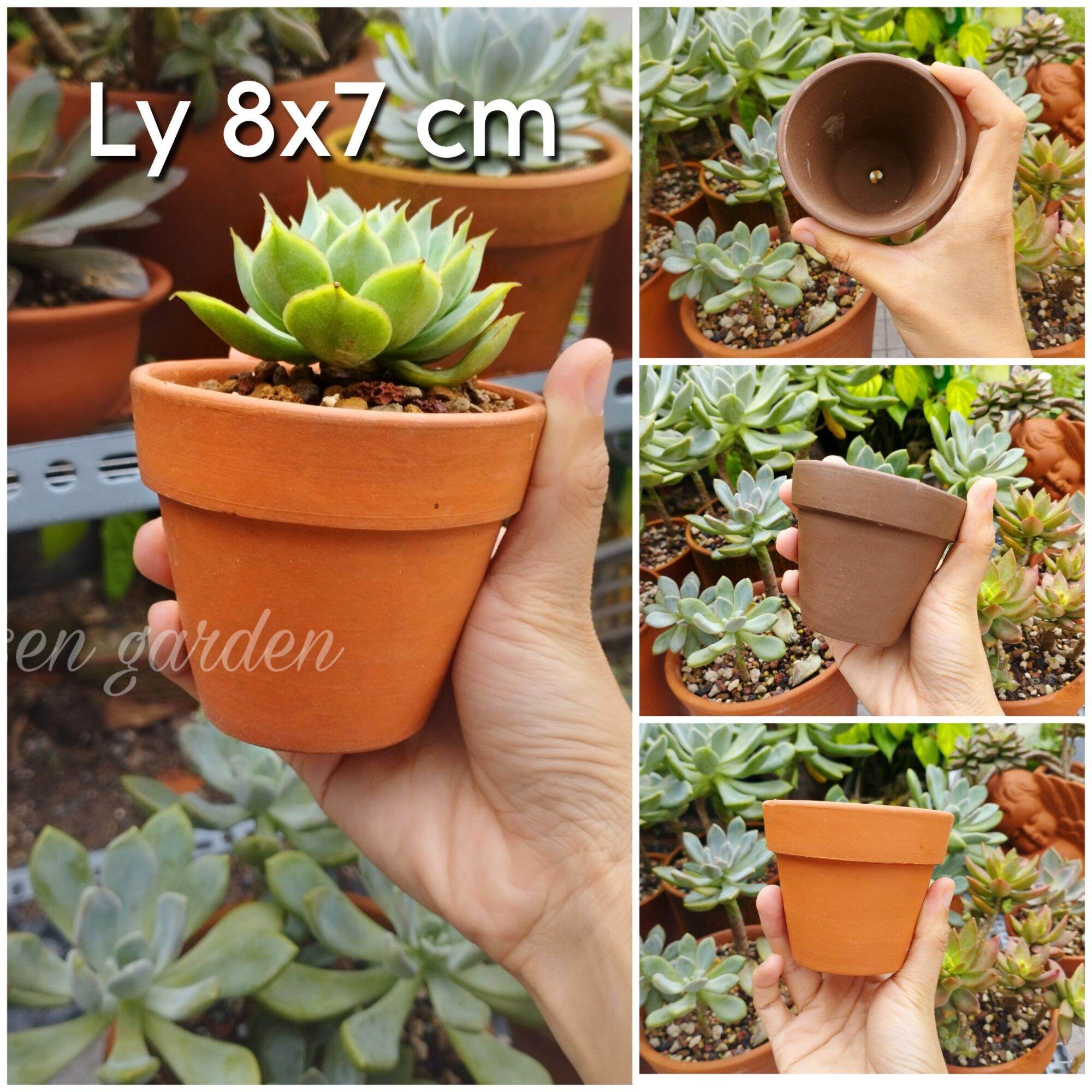 [Bao Bể Vỡ] Chậu Đất Nung Chậu Trồng Sen Đá 8x7 Cm