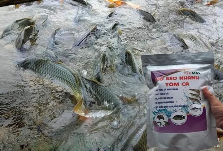 TĂNG TRỌNG NHANH TÔM.CÁ