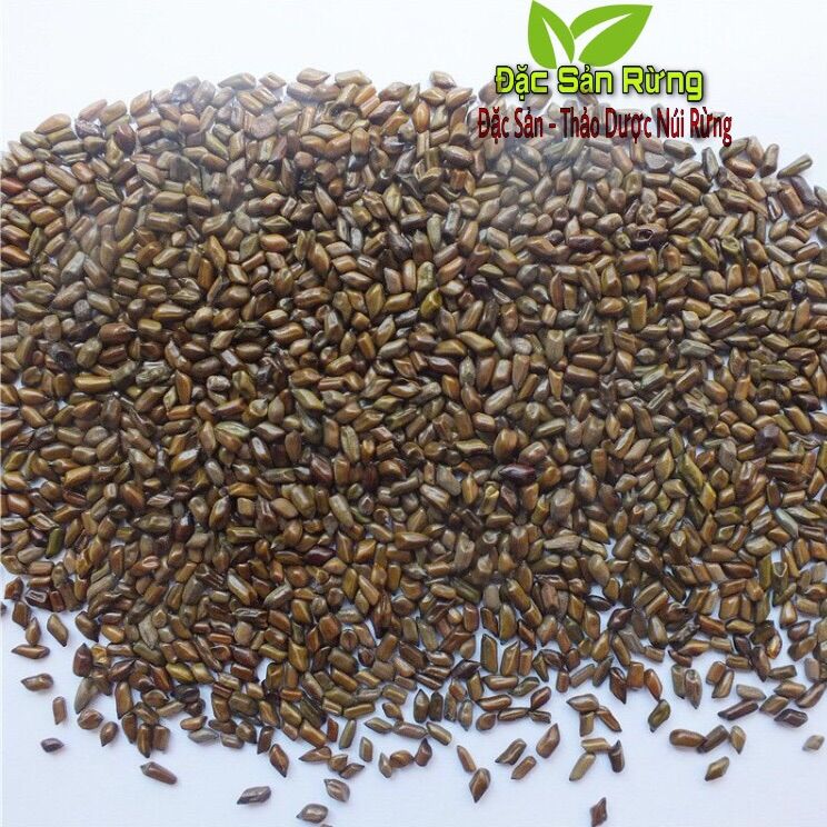( 1kg ) HẠT MUỒNG ( Thảo Quyết Minh ) ĐÃ XAO THƠM - ĐSR
