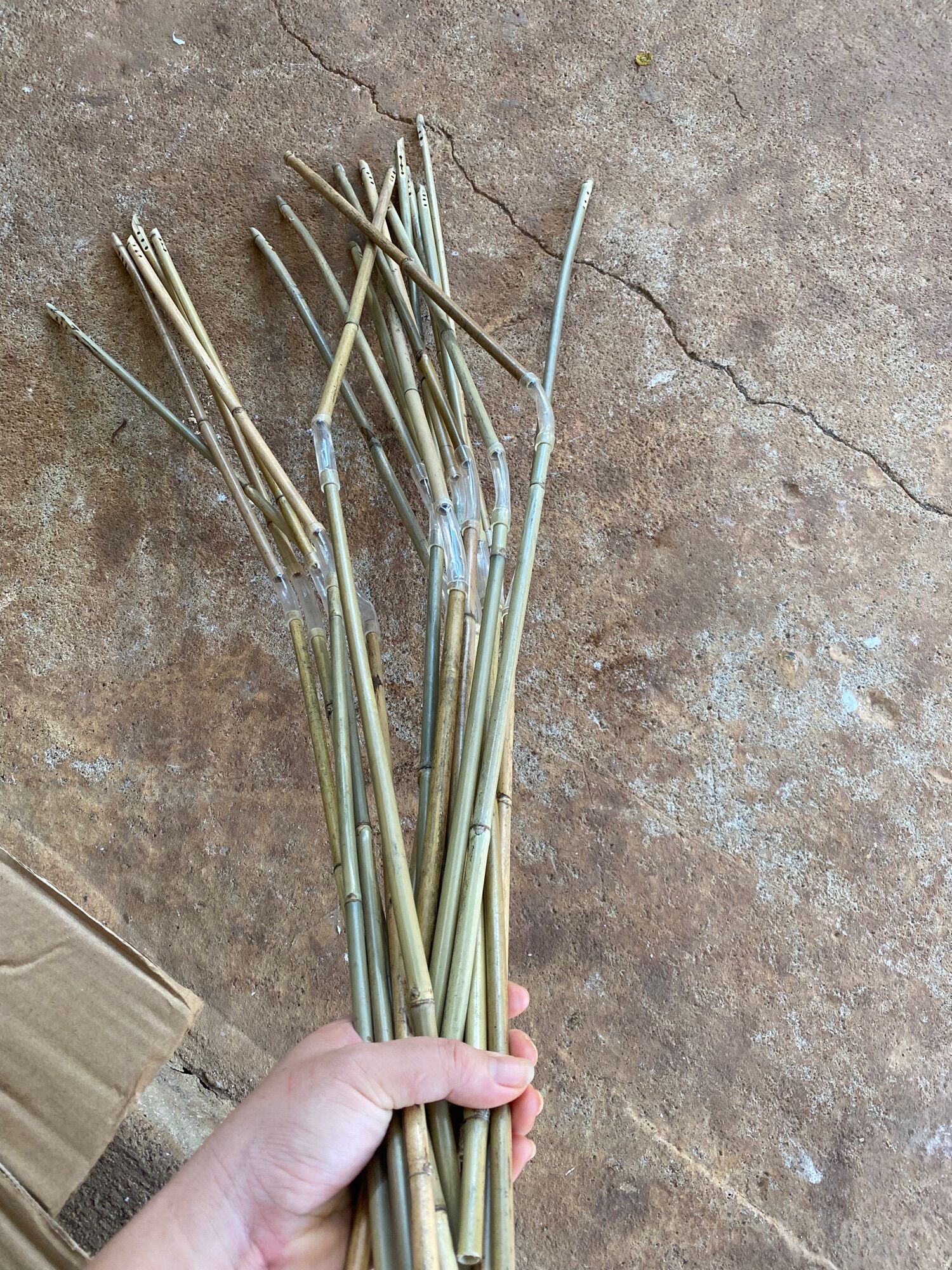 10 ồng hút rượu cần