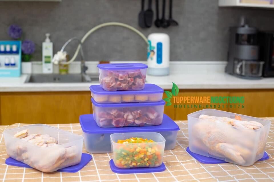 Bộ Hộp Trữ Đông Thực Phẩm Tup