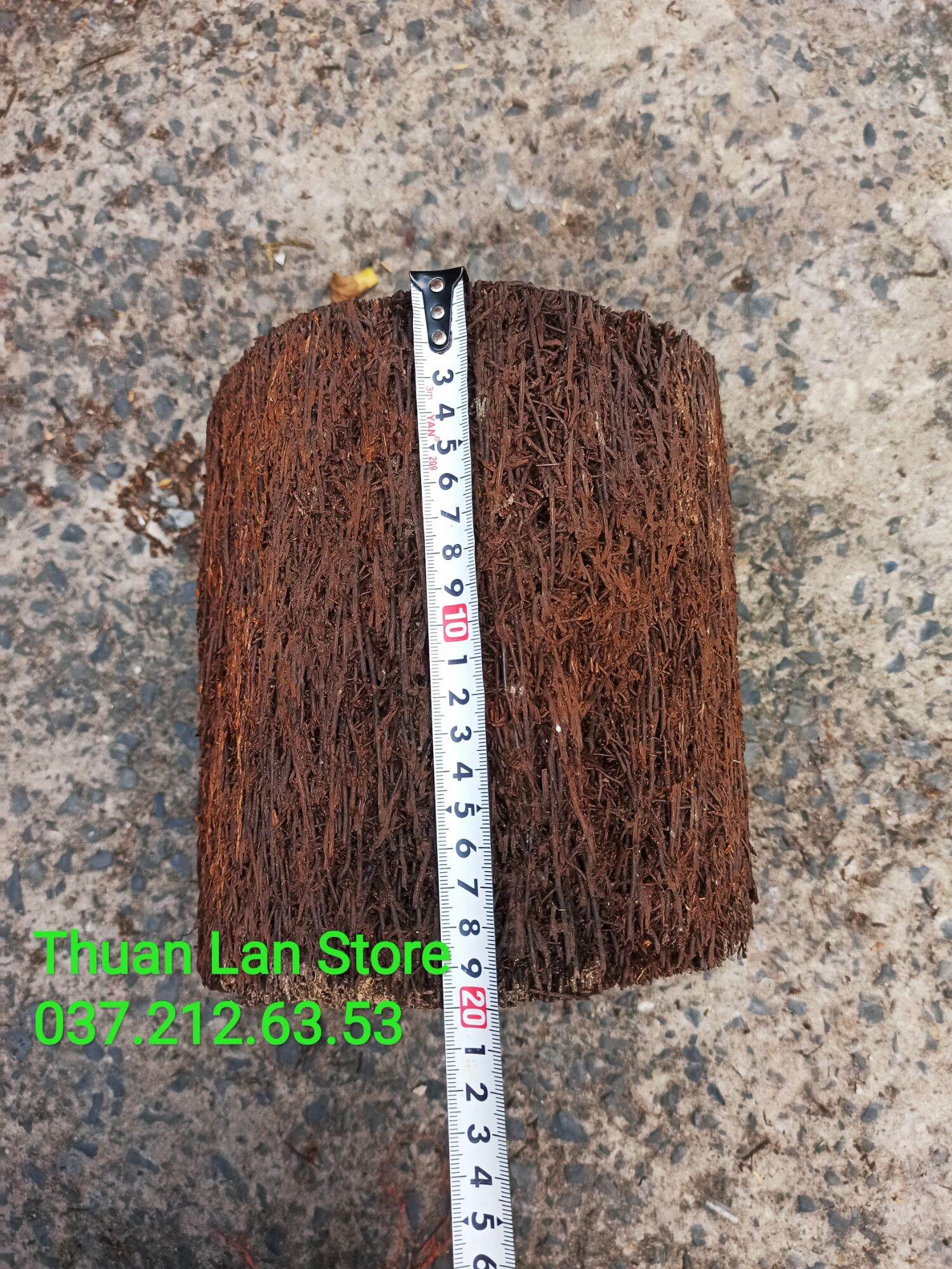Dớn Trụ Trồng Lan Dày Đẹp Dài 20×20cm