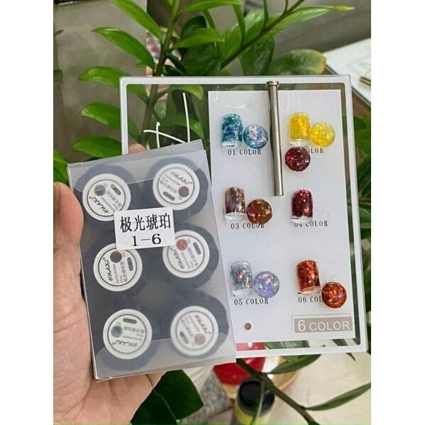 SET GEL HỔ PHÁCH 6 MÀU