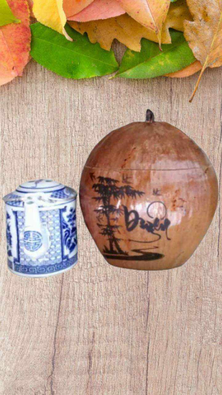 Trái dừa giữ ấm bình trà kèm ấm tích