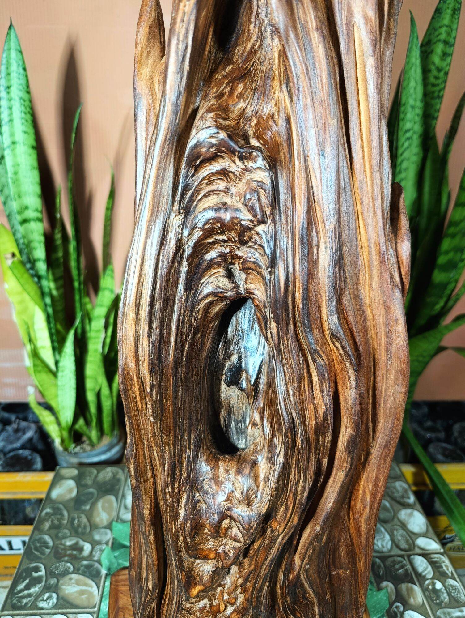 lũa gỗ thơm ngọc am đỏ hà giang