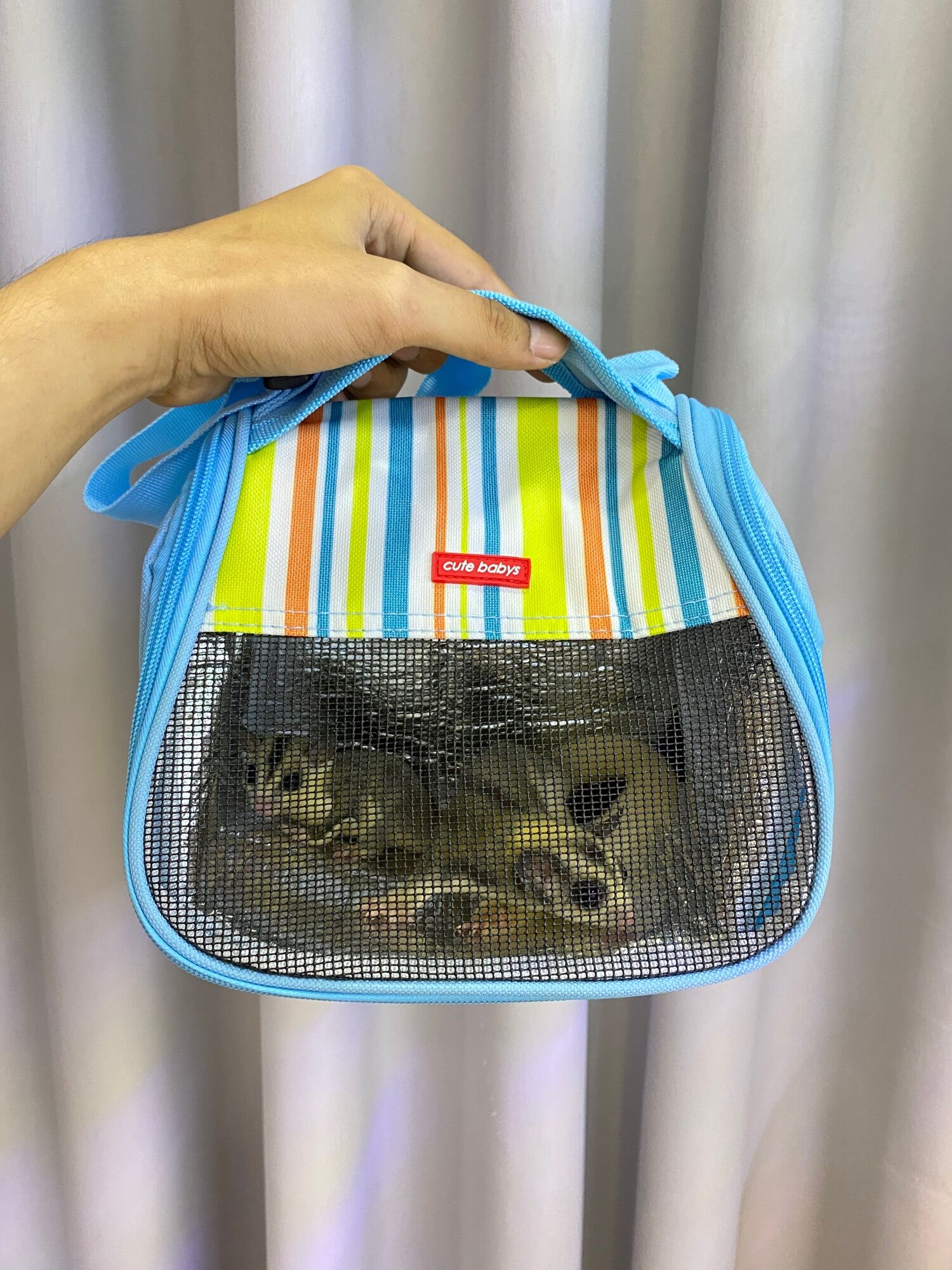 Túi đeo pet cho sóc bay, thỏ, bọ, nhím kiểng