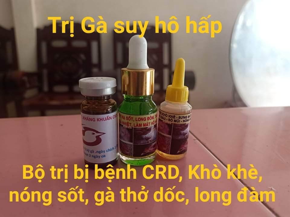 Suy hô hấp, crd, ort