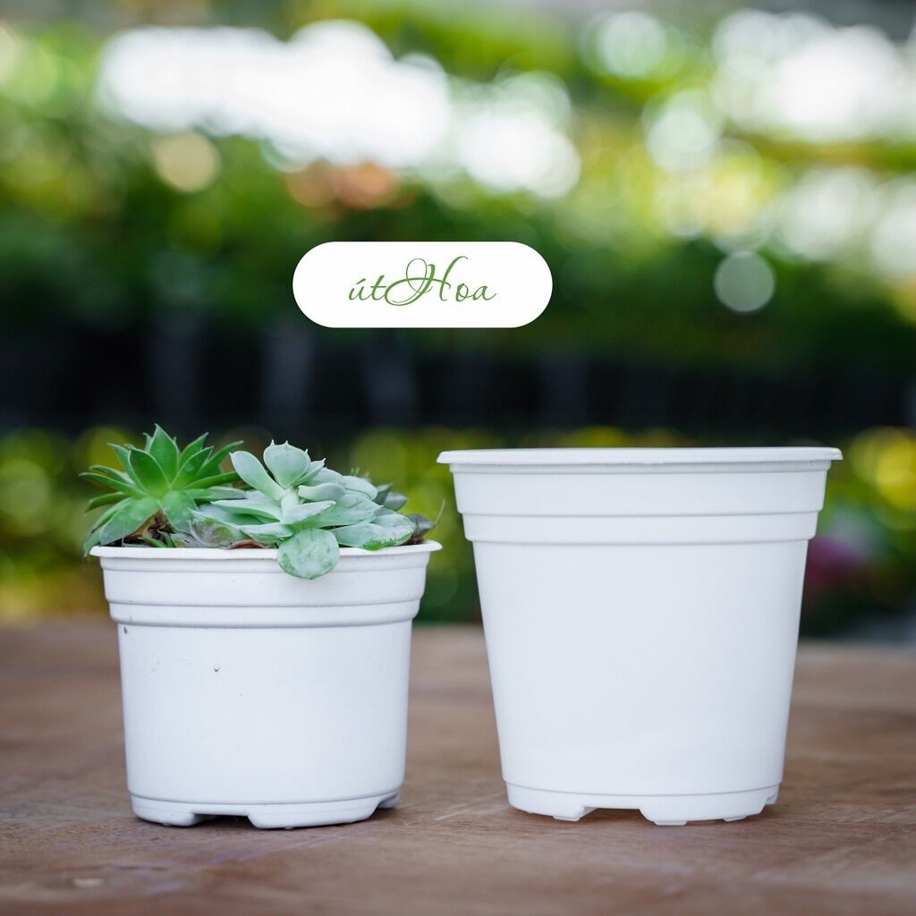 Chậu nhựa trắng T23 (23x16cm)có vành miệng cứng