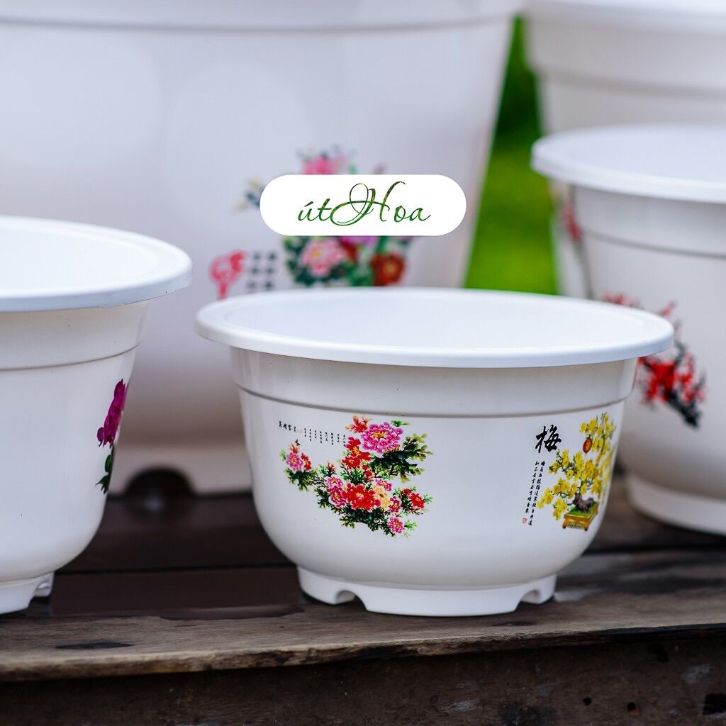 Chậu Bốn Mùa In Hoa (Size Nhỏ Và Vừa)