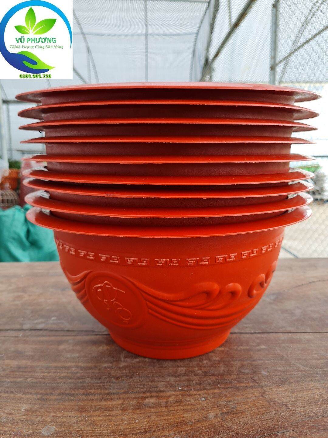 Combo 10 chậu t38 kt miệng 36x cao 20cm