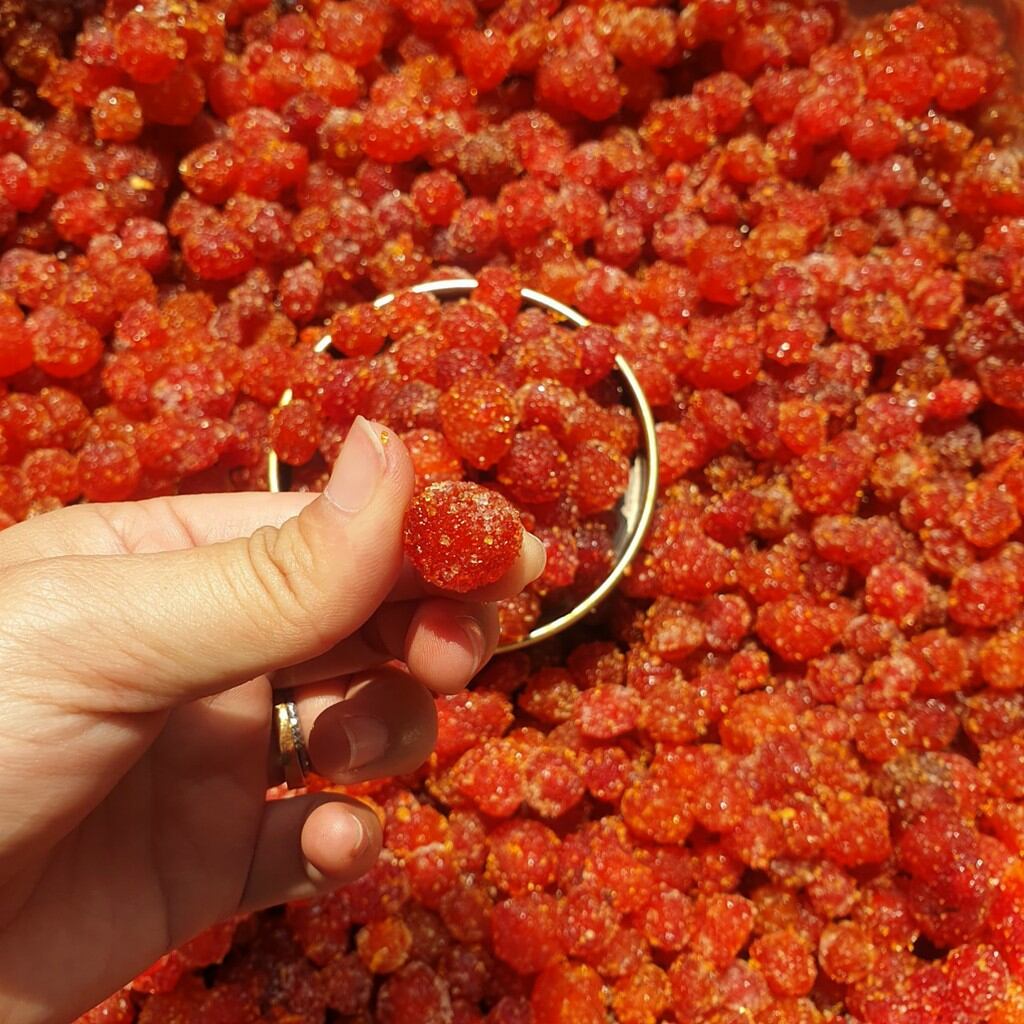 [HCM]Chùm Ruột Chanh Muối 500Gr
