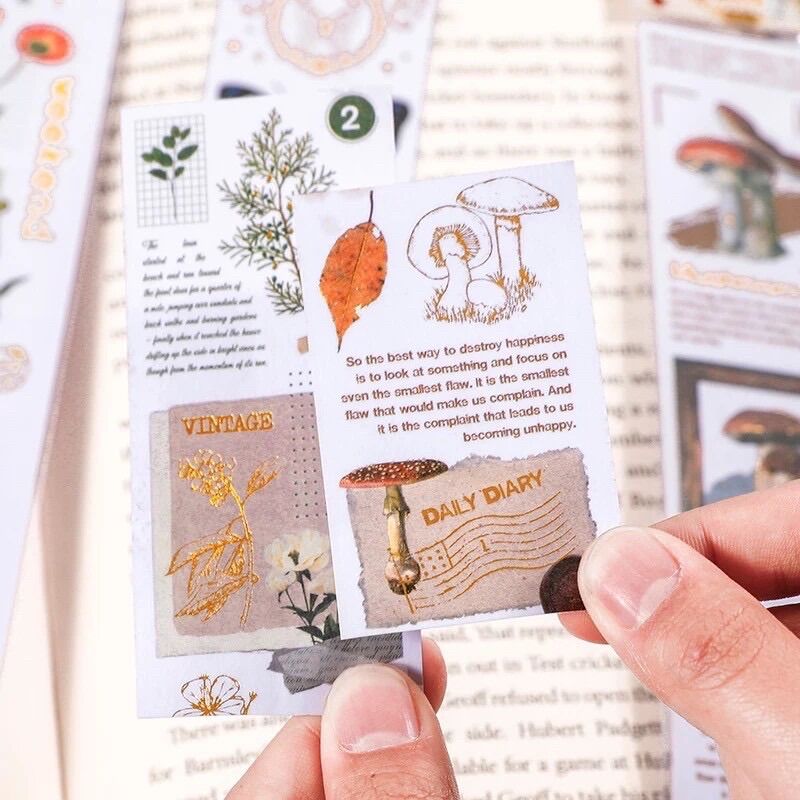 Dây stickers trang trí kiểu cổ điển vintage DIY